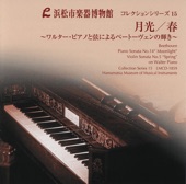 Violin Sonata No.5 in F Major, Op. 24 "Spring": I. Allegro artwork