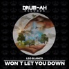 Won't Let You Down - Single