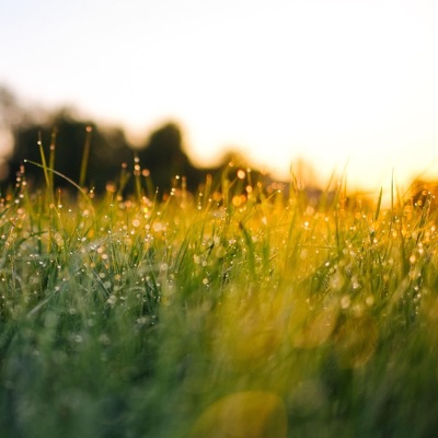 Morning Sweetness - Single