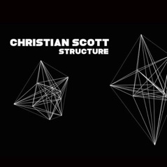 Structure - Single