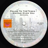 Praise to the Vibes (Mr. Fingers Extended Version) artwork