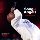 Song of Angels (Live) artwork