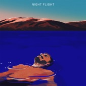 Night Flight - Departure