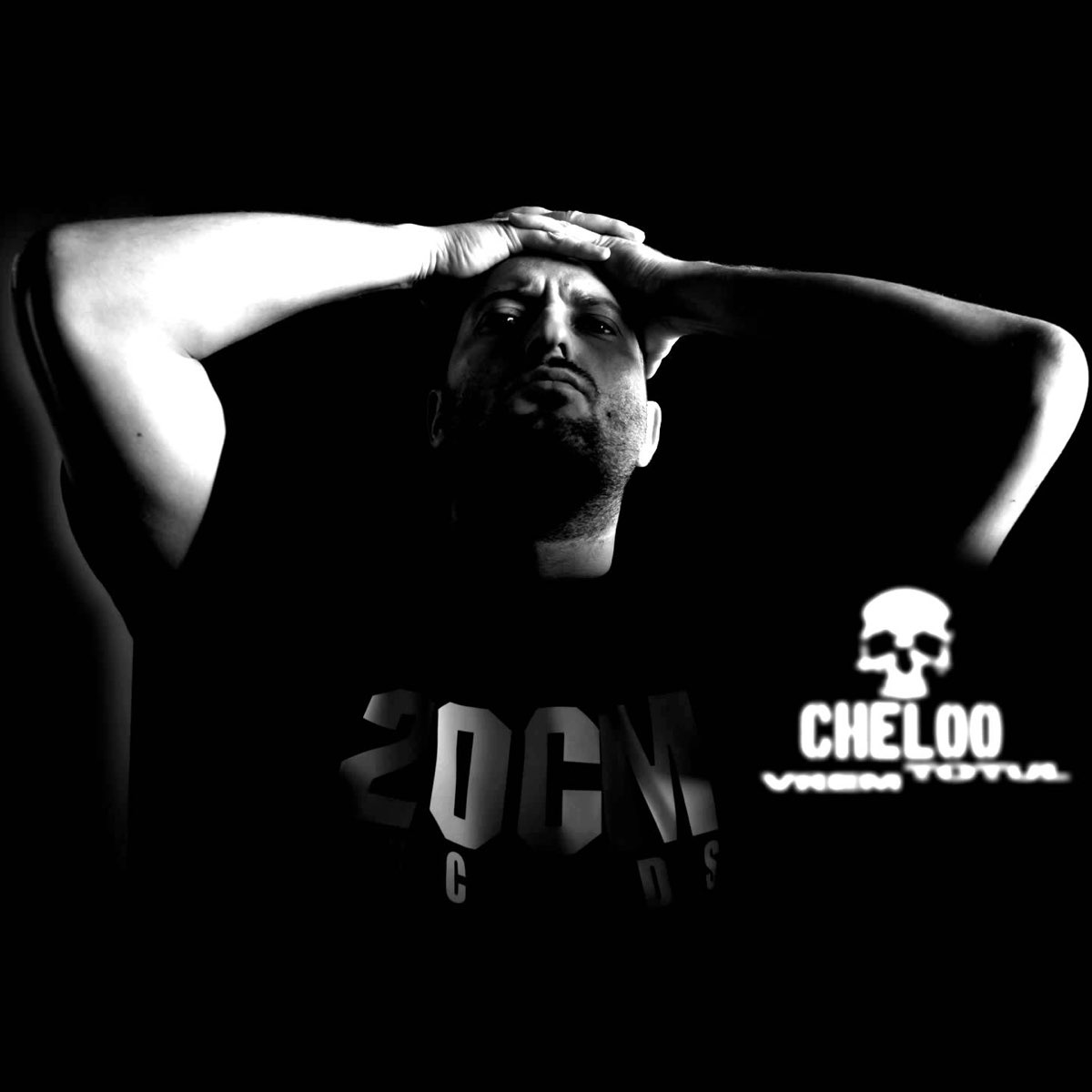 Vrem Totul - Single - Album by Cheloo - Apple Music