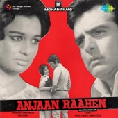 Anjaan Raahen (Original Motion Picture Soundtrack) artwork