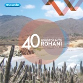 40 Nonstop Hits Rohani, Vol. 1 artwork