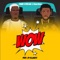 Wow (feat. DarkoVibes) artwork