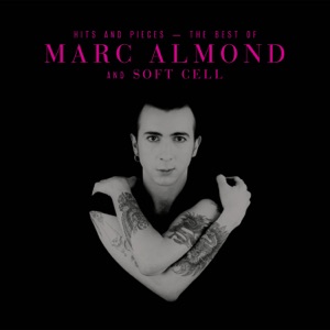 Marc Almond - A Kind of Love - Line Dance Choreographer