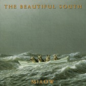 The Beautiful South - Good As Gold (Stupid As Mud)