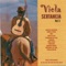 Tardes Morenas de Mato Grosso - Nestor Da Viola lyrics