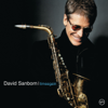 Timeagain - David Sanborn