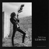 Lemons - Single