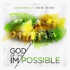 God of the Impossible - Single