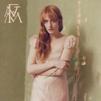 RÃ©sultat de recherche d'images pour "florence + the machine high as hope itunes"