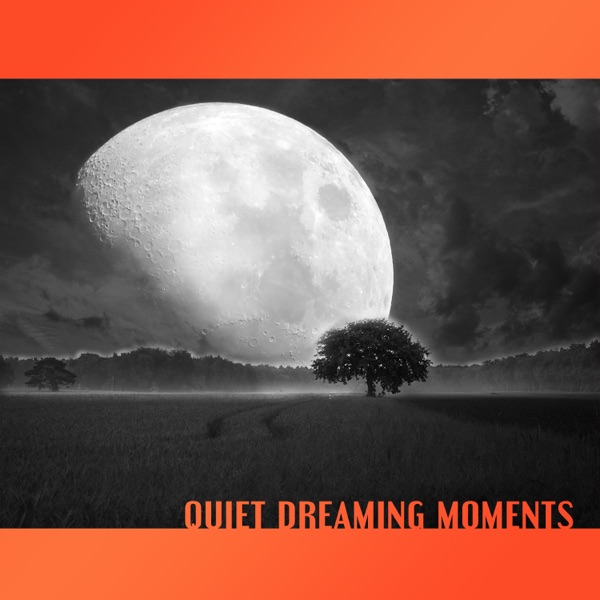 Quiet Dreaming Moments: 50 Music Hypnosis for Better Sleep at Night, Rest & Relaxation, Cure for Insomnia, Regeneration During Sleep