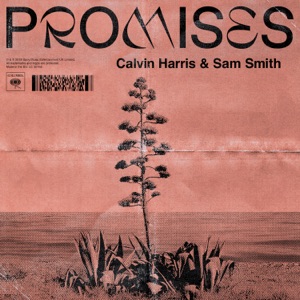 Promises Artwork