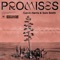 Promises cover