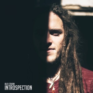 Introspection (feat. Chap Rowland)