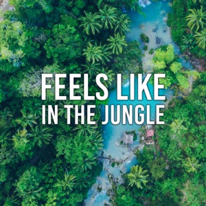 Feels Like in the Jungle: Exotic Sounds of River, Beach, Rainforce, Tranquility for Rest, Therapeutic Tibetan Spa Ambience