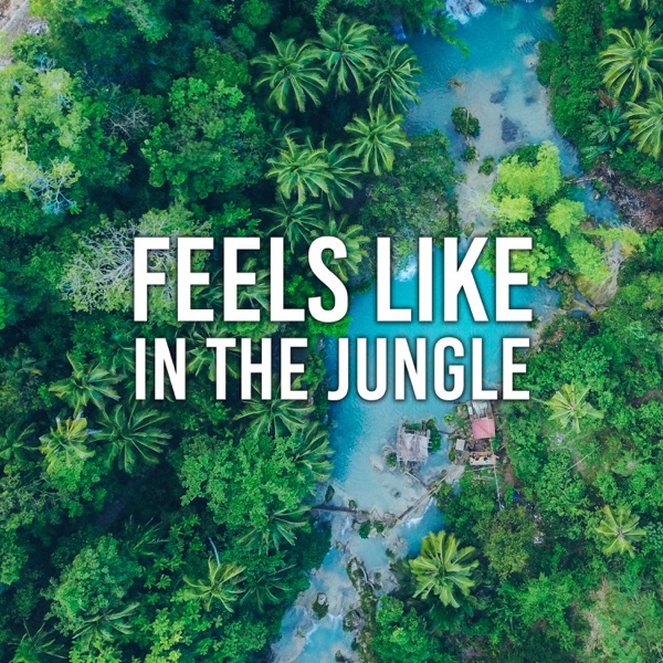 Feels Like in the Jungle: Exotic Sounds of River, Beach, Rainforce, Tranquility for Rest, Therapeutic Tibetan Spa Ambience