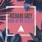 King of My Castle - Richard Grey lyrics