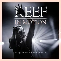 In Motion (Live from Hammersmith) - Reef