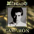 Camaron de la isla & Paco de lucia