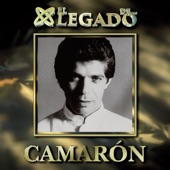 El Legado De Camarón artwork