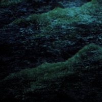 Fell Into Place - Single - Abelation