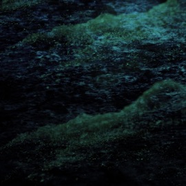 Fell Into Place Abelation