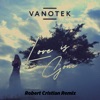 Love Is Gone (Robert Cristian Remix) - Single