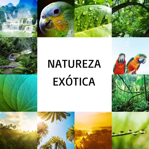 Natureza Exótica: Sons Relaxantes do Paraíso Tropical, Natureza Selvagem Africana, Chill del Mar