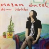 Nazan Öncel - Bu Havada Gidilmez