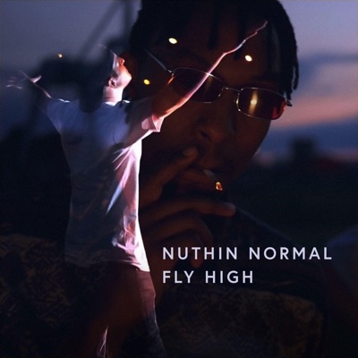 FLY High - Single
