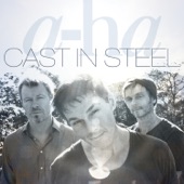 Cast In Steel (Deluxe Version) artwork