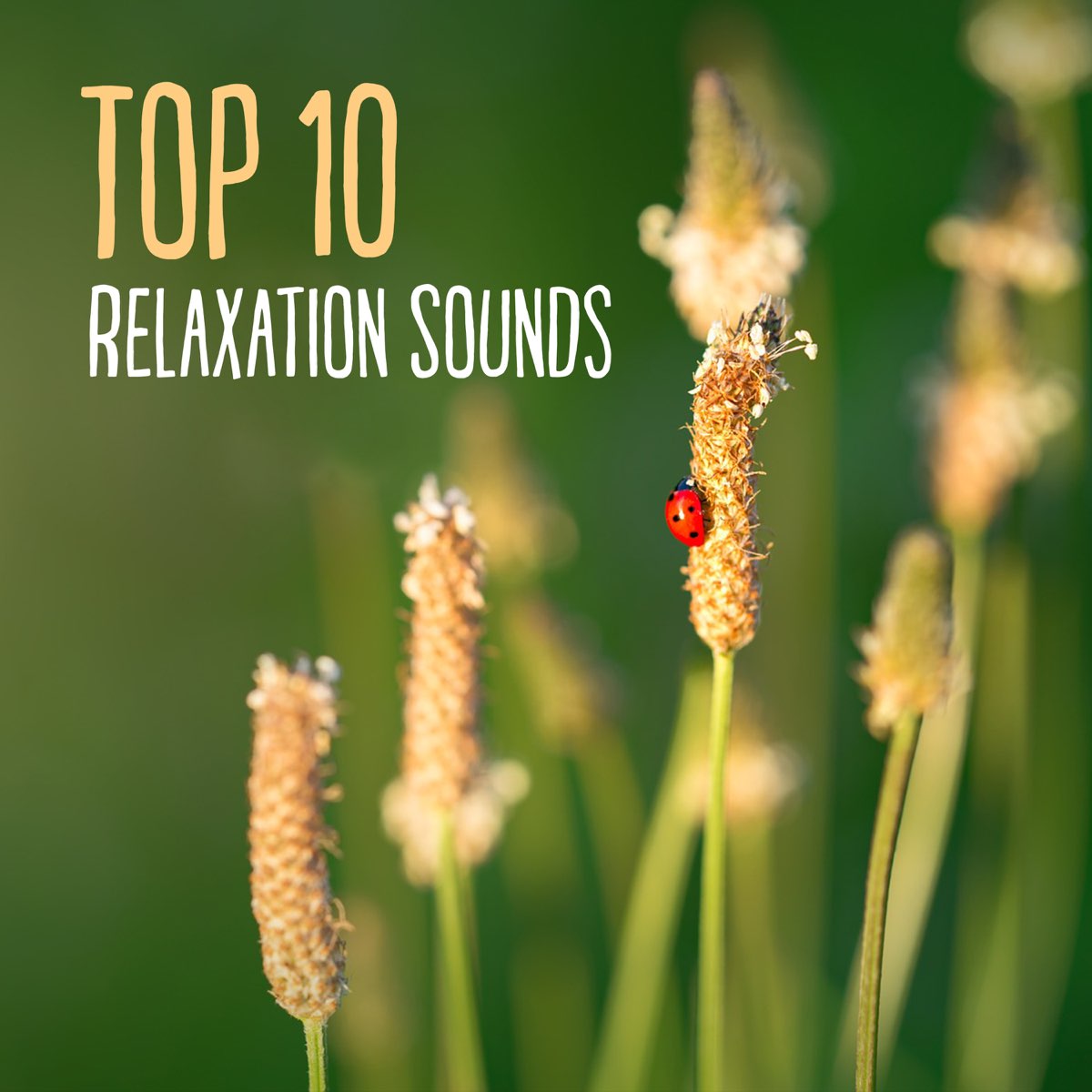 ‎Top 10 Relaxation Sounds: Zen Music for Mind, Body Soul Harmony ...