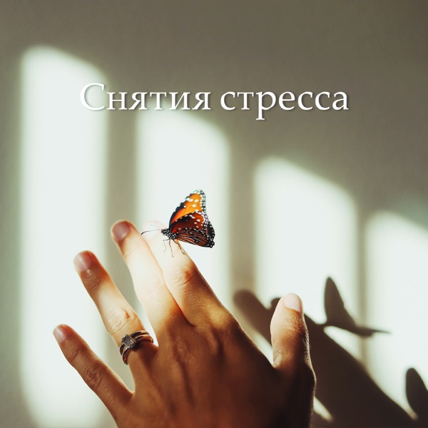 Снятия стресса - Лучшая музыка для занятий йогой для умиротворения тела и духа