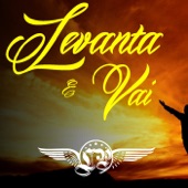 Levanta e Vai artwork