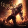 Unmerciful - Enduring Torture