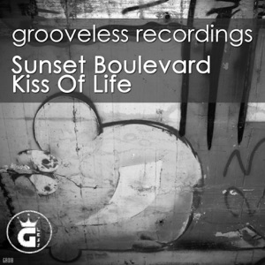 Kiss of Life (D-Soriani Soulful Remix)