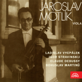 Elegy - Jaroslav Motlík