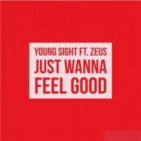 Just Wanna Feel Good (feat. Zeus) - Single - Young Sight