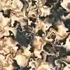 Cheap Monk - Saturno