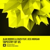 Alan Morris - Tapestry of Us (feat. Jess Morgan)