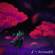 Field of Hopes and Dreams - RichaadEB
