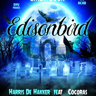 Edisonbird - Single