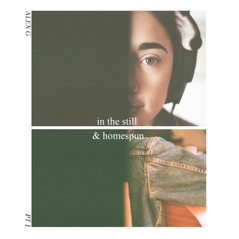 In the Still & Homespun Pt. I - EP