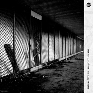 Parallel Universe - Single