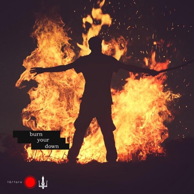 BurnYourDown (feat. Cury & Matt Mv1) - Single