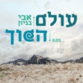 עולם הפוך artwork